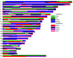 X Marks the Spot  DNAeXplained – Genetic Genealogy