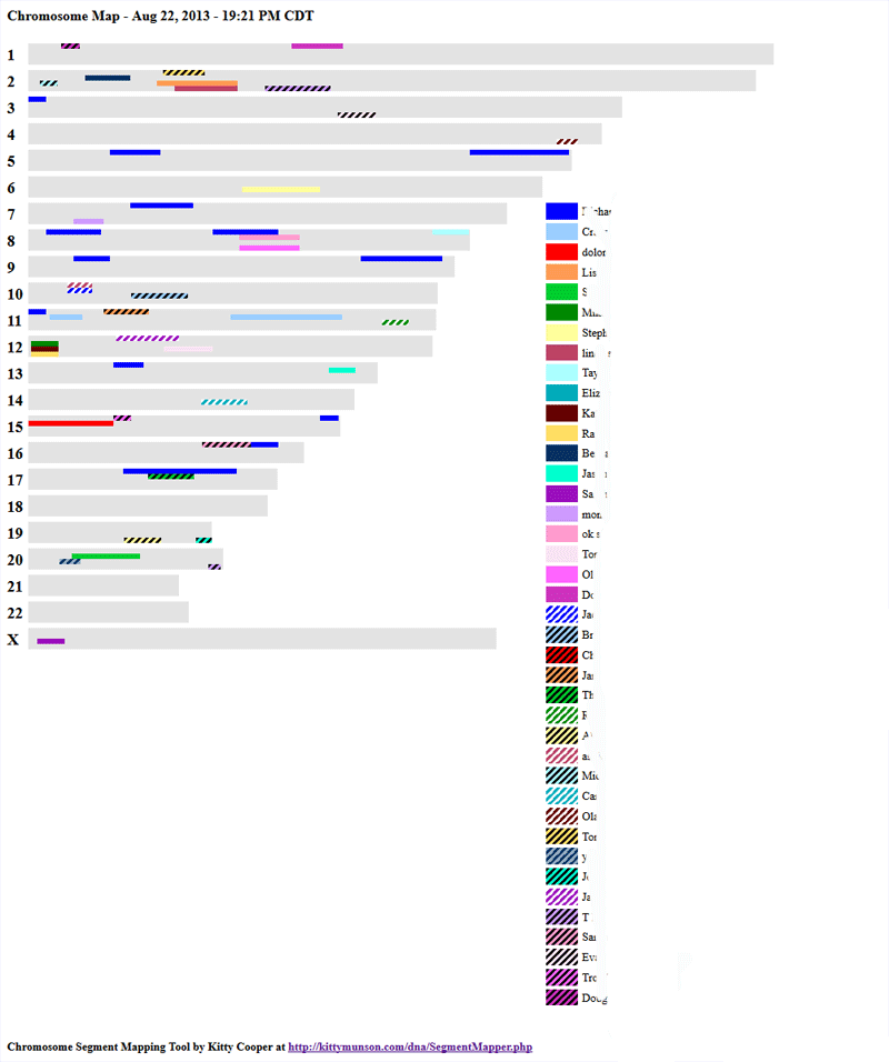 Sample Output from the DNA Segment Mapper