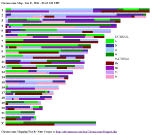 Sample Chromosome Map Colors