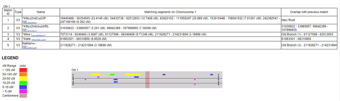 Gedmatch Chromosome Browser