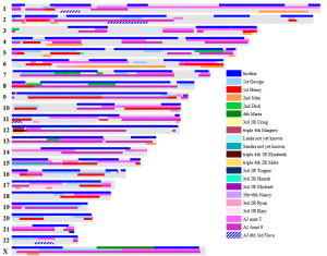 KittyTopMatchesMap