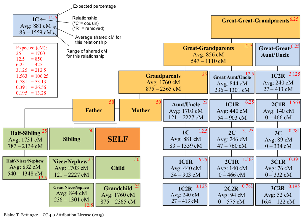Ancestry Centimorgans Chart