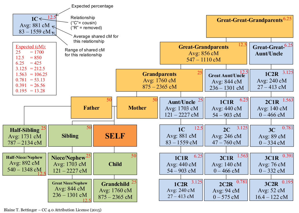 Dna Detectives Autosomal Chart