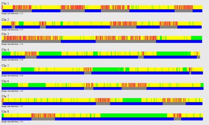 GEDmatch comparison of me and my brother