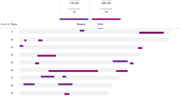 Cm Chart Dna