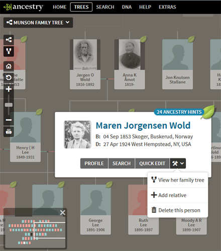 Genea-Musings: The New Ancestry.com Member Tree Fan Chart