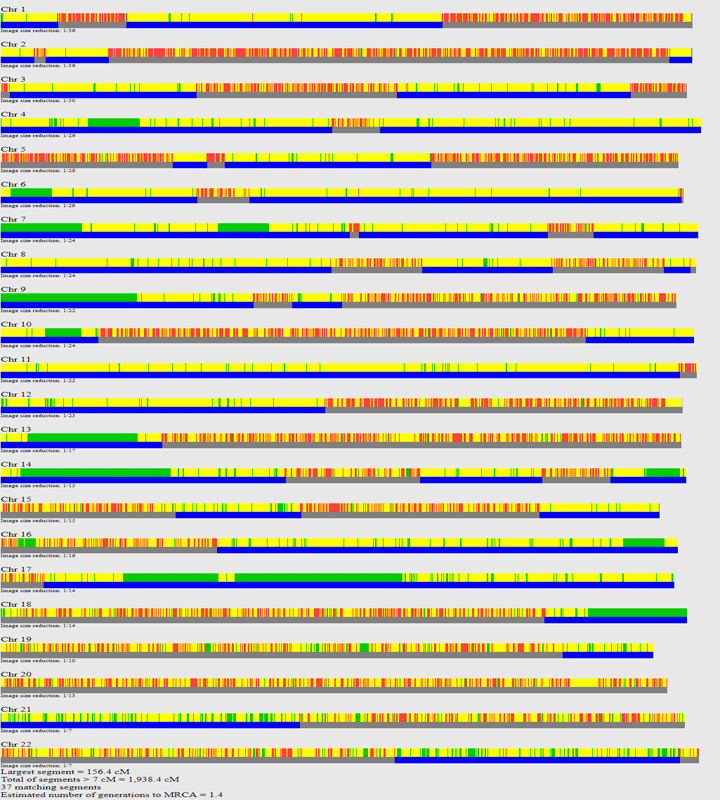 image of the 22 chromosomes