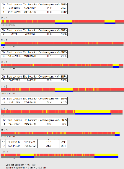 only 30% of my dna matches my father