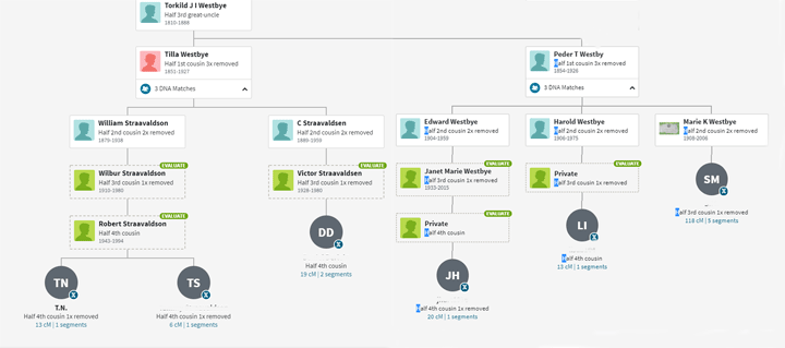 Who is my great great grandfather’s daddy? A ThruLines experiment ...