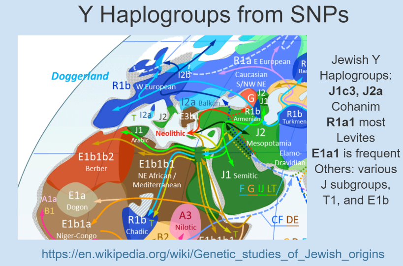 Diaagram of Jewish Y Haplogroups