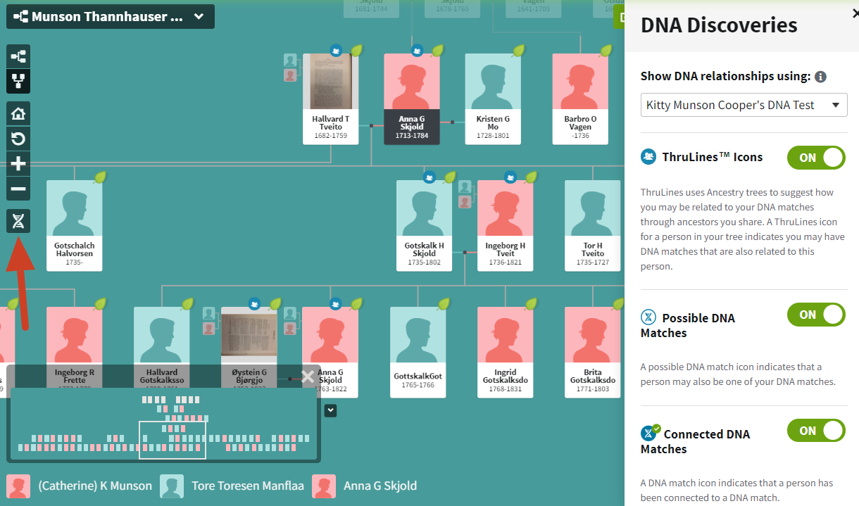 Color-Coding Ancestry DNA Matches – GenealogyNow